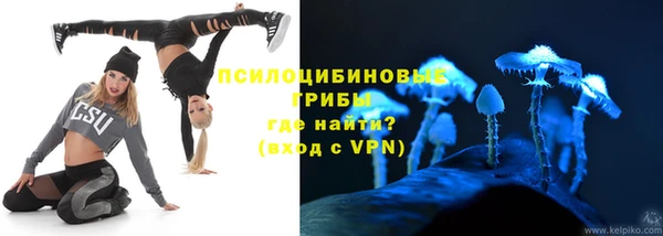 PSILOCYBIN Верея