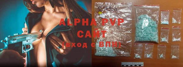 PSILOCYBIN Верея