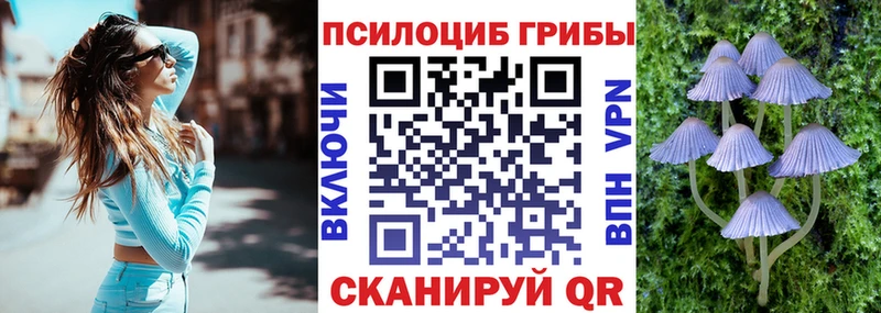 нарко площадка как зайти  hydra рабочий сайт  Карабаш  Псилоцибиновые грибы Psilocybe 